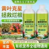 Solução Nutricional de Molécula Pequena, Não Precisa de Diluição, para Enraizamento de Plantas e Fortalecimento de Mudas, Folhas Verdes e Brilhantes, Fertilizante Líquido, Resistente ao Frio e à Seca, Tipo de Uso Geral