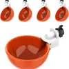 Bebedero para pollos comercio exterior transfronterizo pollo, pato y ganso dispositivo de bebida automática bebedero para aves de corral alimentador de agua para incubación