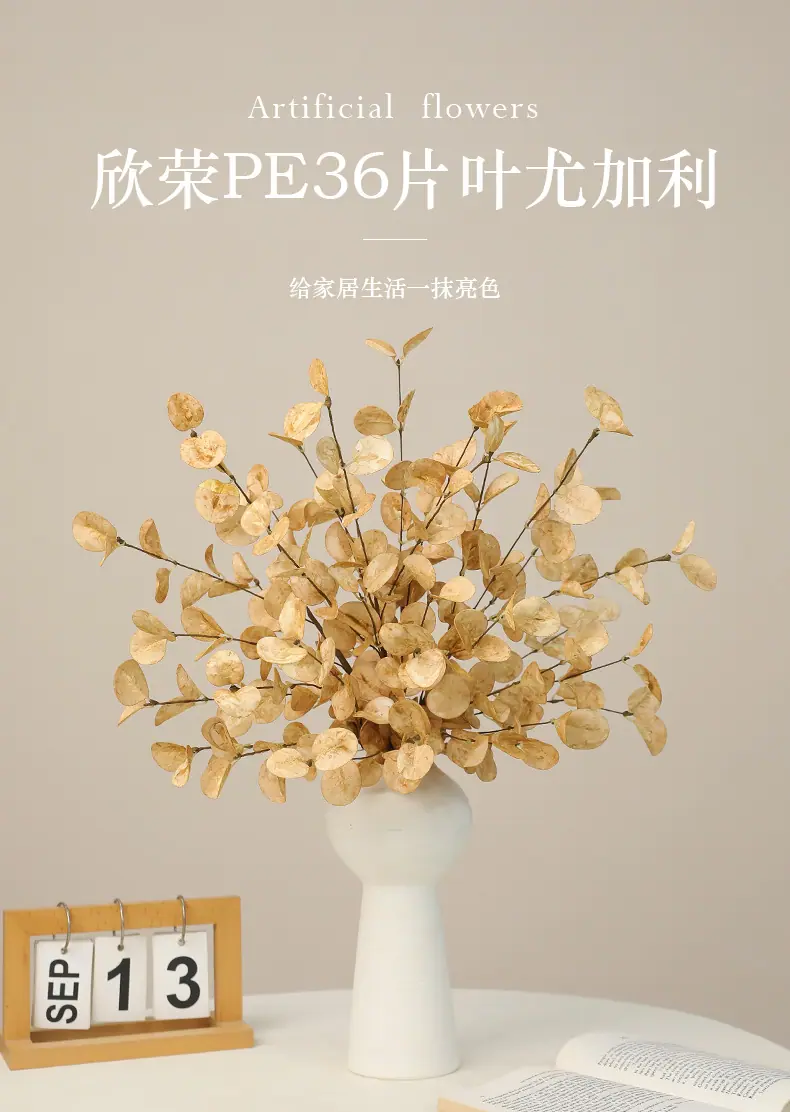 欣荣PE36片叶尤加利_01.jpg