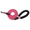 Suprimentos para Animais de Estimação Guia para Cachorro Atacado Multicor Nylon Equipamento para Exterior Refletiva à Prova de Explosão Guia para Cachorro Corgi Teddy
