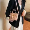 2025 Nuevo Bolso Cubo de Dibujos Animados Lindo y Moderno de Gran Capacidad para Hombro Único, Debajo del Brazo, Bolso Texturizado para Viajero, Bolso de Mano para Mujer