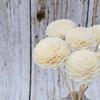 Punto Rattan Hierba Flor 4.5cm Crisantemo Sin Corazón Flor de Aromaterapia Difusor de Varillas Accesorios Decorativos Flor Seca Hecha a Mano Flor Artificial