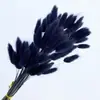 Hierba de Cola de Conejo Seca, Flores Preservadas, Materiales para Ramo de Flores Secas Transfronterizo, Accesorios para Fotografía, Hierba de Cola de Zorro Colorida, Venta al por Mayor de Fábrica