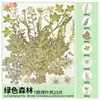 Paquete de Materiales DIY de Flores Secas Flores Prensadas Hechas a Mano Flores Conservadas Marcadores de Libros de Flores Prensadas Hojas de Árbol Real Plantas Pegatinas de Resina Maquillaje Facial