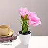Duas Flores e Uma Fruta, Bonsai de Magnólia com Toque Real, Flores Artificiais, Enfeites de Decoração para Casa e Estúdio de Fotografia, Plantas Verdes Artificiais, Plantas Artificiais em Vasos