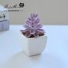 Suculenta Pequeño Bonsái Cerámica Muebles para el Hogar Decoración Fabricante de Jinhua Plantas Verdes Aliexpress Flor Artificial Plantas en Maceta