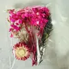 Kit de Materiales de Flores Secas DIY Flor Eterna, Flores Flotantes Perfumadas, Materiales de Flores para Actividad Padres e Hijos, Venta al por Mayor Fabricante de Yunnan, Día de la Madre