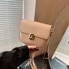 Bolso de textura de alta calidad para mujer 2024, nueva moda, bolso de mensajero popular de primavera y verano, bolso de hombro único estilo occidental que combina con todo