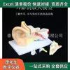 Modelo de amplificación de anatomía del oído enseñanza biológica cuerpo humano estructura de oreja grande ARTE niños Instrumento de enseñanza de laboratorio de Ciencias