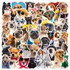 50 Lindos Stickers de Graffiti de Colección de Gatos y Perros para Botellas de Agua, Maletas, Cuadernos y Decoraciones de Teléfono al por Mayor