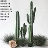 Cacto Artificial Planta Verde Decorativa em Vaso Biónica Tropical Desértica Pacote de Paisagismo Combinação Falso Cactus