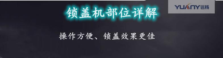 图片12