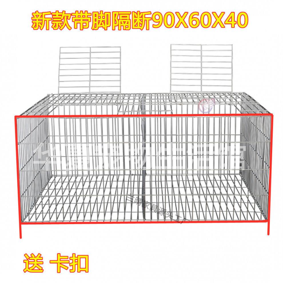 f5545a6d085c40eac67693f939400eb0.jpeg