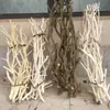 Forma de Galho Seco de Árvore para Pássaros Cabide de Roupa para Pendurar na Parede Decoração de Galho de Teto Galho de Madeira Crua Galho Seco Natural Galho Seco Madeira Seca Cabelo Liso