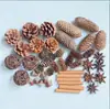 Fruta Fixa Natural Planta Fruta Casca Espécime Material Decoração Flores Secas Fatias Jardim de Infância DIY Pacote de Material de Natal