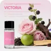 Aromaterapia para Coche Tipo Salida de Aire Aceite Esencial Aromático Perfume para Coche Exclusivo Transfronterizo Estilo Caliente de Amazon 12 Sabores