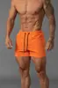Pantalones Cortos de Verano para Hombre Youngla, Estilo Nuevo, Gimnasio, Deportes, Fitness, Running, Entrenamiento, Secado Rápido, Transpirables