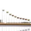 Botellas de Vidrio de Borosilicato Alto para Líquidos Orales, Botellas de Vidrio Transparentes, Frascos para Muestras, Frascos de 5-30ml, Botellas de los Deseos, Embalaje al por Mayor