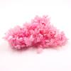 Hortensia Flor Seca Flor Eterna Material Flor Rosa Regalo de Navidad Ramo Hecho a Mano Hortensia de Madera 20g En Caja