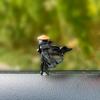 Figuritas en miniatura de héroes y heroínas de estilo antiguo para paisajes en miniatura, rocallas y decoración de bonsái
