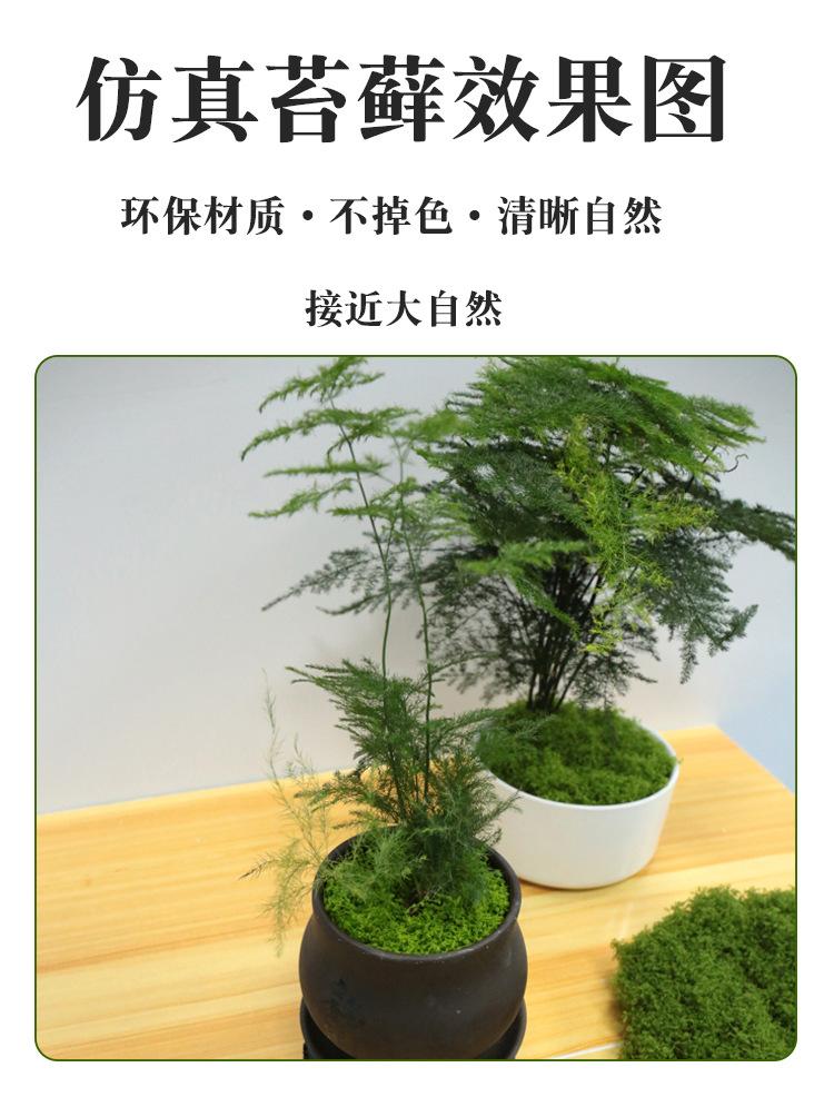 详情7.jpg