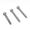 Tornillo autorroscante de cabeza cilíndrica de acero inoxidable con hexágono interior, cabeza ahuecada, clavo autorroscante, cola puntiaguda, cola plana ciruela, autorroscante M2-M6.3