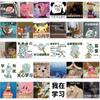 62 peças amor aprender expressão facial saco adesivos engraçado diretor escola caderno capa de telefone decoração diy adesivos à prova d'água