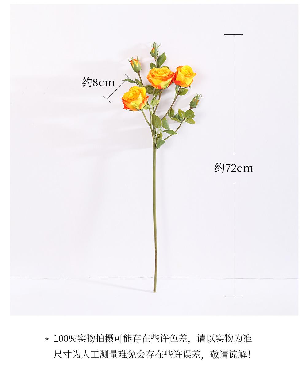 详情_03.jpg