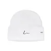 Chapéu de Lã com Bordado de Letras Estilo Hong Kong para Mulheres, Gorro Quente Estilo Japonês para Outono e Inverno, Chapéu de Tricô, Chapéu para Clima Frio, Chapéu de Puxar