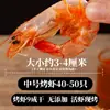 Camarão Seco Chaozhou Pronto para Comer Lanche Crocante de Camarão, Camarão Grelhado na Brasa Extra Grande, Lanche de Frutos do Mar Secos