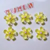 Accesorios de Resina Materiales para Manualidades Hebillas de Zapatos Parches para Sombreros Parches de Pegamento Cremoso Cubiertas de Paja Transparentes Flores con Purpurina Fina Tamaño Pequeño