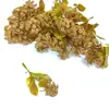 Plantas Verdes Simuladas Transfronterizas, Flores Simuladas de Plástico, Plantas en Maceta Simuladas, Plantas Acuáticas de Pared, Accesorios, Paisajismo para Acuarios