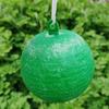 Trampa de Bola para Mosca de Frutas Árboles Cítricos Mosca Grande de la Fruta Bola Pegajosa para Insectos Mosca Pequeña de la Fruta Mosca de la Fruta del Melón Trampa de Insectos Bola Trampa Esférica Verde 1