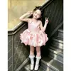 Vestido de Princesa para Meninas, Vestido Colete Rosa Claro Infantil, Vestido para o Primeiro Aniversário do Bebê, Vestido Floral de Natal, Atacado Amazon