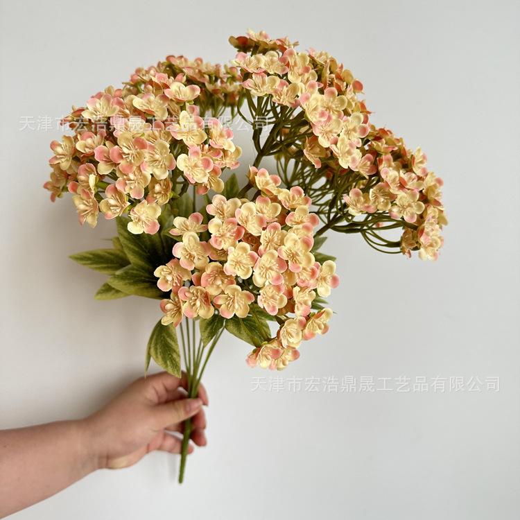 微信图片_202305101709193_副本