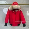E-commerce Transfronteiriço Big Goose 01 Jaqueta Curta de Penas Inverno Masculina Feminina Roupa de Casal Jaqueta Piloto Espessa de Alta Qualidade
