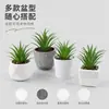 Em estoque simulação carnuda pequena sabgrass vaso desktop pequenos ornamentos presente mini bonsai verde TEMU simulação planta