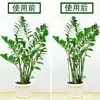 Soporte de Vid para Planta Orquídea Pinza de Cangrejo Anillo de Soporte, Hierro Forjado para Plantas Verdes Rosa Soporte Semicircular para Flores Marco Fijo de Recolección Protección de Hojas