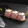 Tarro de Condimentos para el Hogar Caja de Condimentos Botella de Cerámica Creativa para Condimentos Tarro de Sal para Cocina Tarro de Azúcar Conjunto de Almacenamiento Combinado Venta al por Mayor