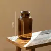 Vaso de Vidro Marrom Insulano Celebridade da Internet Retrô Arranjo de Flores Transparente Marrom Arranjo de Flores com Cultura de Água Ornamentos