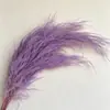 Atacado de Grama Eterna do Fabricante para Casamento e Decoração de Casa DIY Materiais Florais, Grama de Cabelo Longo para Flores de Arte Penduradas