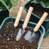 Set de Herramientas para Jardinería de Suculentas Juego de Tres Piezas Pala para Plantar Flores en Maceta Casera Pala Pequeña Paleta Rastrillo Pequeño Bonsái
