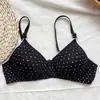 Comercio Exterior Transfronterizo Ropa Interior Femenina Lunares Delgado Hebilla Doble Fila Sin Aros Cómodo Push-Up Fabricante