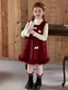 Conjunto de Falda con Chaleco Dulce para Niñas Otoño Invierno Nuevo Niños Pequeños y Medianos Manga Larga Capa Base Vestido de Niña Dos Piezas Transfronterizo