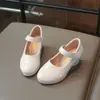 Sapatos de Salto Alto Mary Jane Elegantes e da Moda para Meninas 2026 Primavera/Verão Novos Sapatos de Performance para Crianças de Média e Idade Superior Sapatos de Couro Estilosos de Princesa