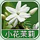 4178 - 小花茉莉香精