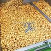 Máquina de pipoca com sabor de caramelo, máquina de pipoca, quanto fabricantes de linha de produção de pipoca
