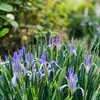 180 Variedades de Sementes de Flores Não Repetitivas, Fáceis de Cultivar em Todas as Estações, Podem Afastar Mosquitos, Adequadas para Varandas Internas e Externas, Distribuição Transfronteiriça