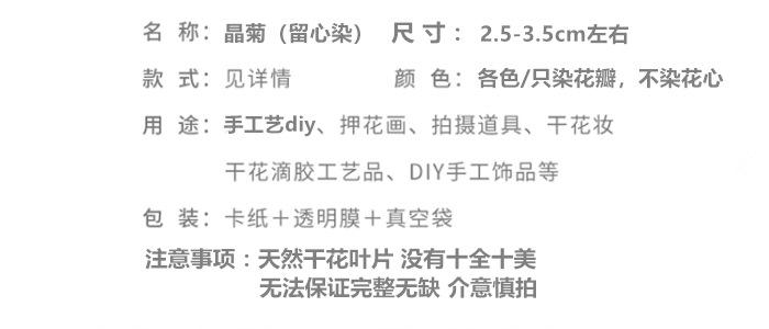晶菊留心染.png
