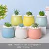Vaso de flores de cerâmica desenho animado fofo macaroon planta carnuda vaso pequeno Amazon Home Gardening Cactus Pot terno